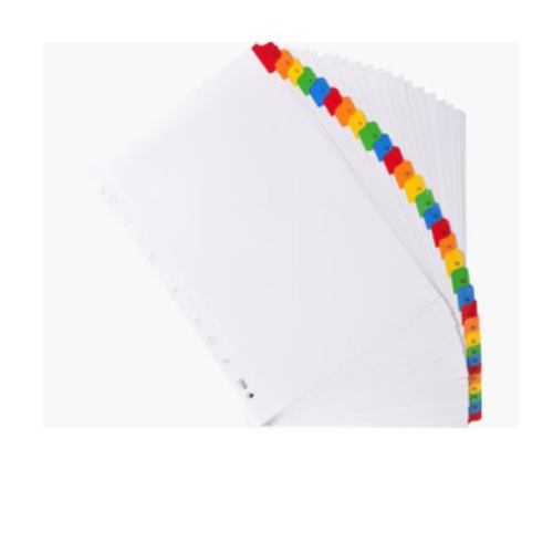 EXACOMPTA INTERCALARE NUMERICO 1-31 IN CARTONCINO 160GR 225X297 mm 12 TASTI BIANCO